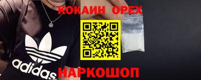 молекула духа Гатчина