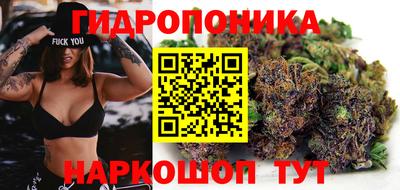 соль ск Гай