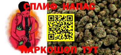 дурь Гагарин