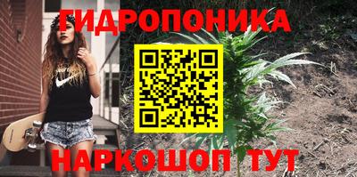 дурь Гагарин