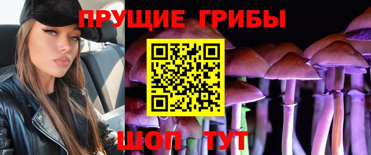ГАШ  A-PVP СК кристаллы  Нижнеудинск  Мефедрон   Вход с VPN  Каннабис  Мефедрон  КОКАИН 